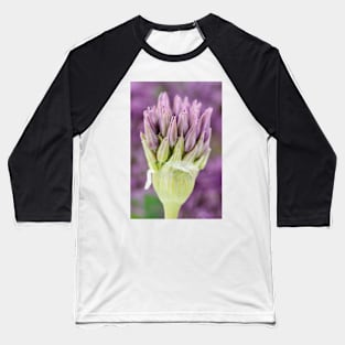 Allium stipitatum &#39;Violet Beauty&#39; Baseball T-Shirt